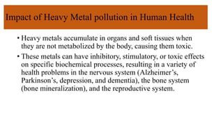 Impact of Heavy Metal pollution in Human Health
• Heavy metals accumulate in organs and soft tissues when
they are not metabolized by the body, causing them toxic.
• These metals can have inhibitory, stimulatory, or toxic effects
on specific biochemical processes, resulting in a variety of
health problems in the nervous system (Alzheimer’s,
Parkinson’s, depression, and dementia), the bone system
(bone mineralization), and the reproductive system.
 