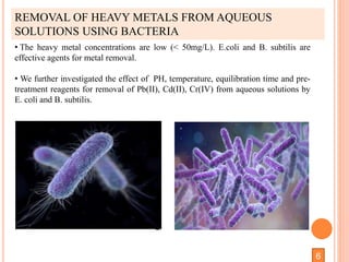 REMOVAL OF HEAVY METALS FROM AQUEOUS
SOLUTIONS USING BACTERIA
• The heavy metal concentrations are low (< 50mg/L). E.coli and B. subtilis are
effective agents for metal removal.
• We further investigated the effect of PH, temperature, equilibration time and pre-
treatment reagents for removal of Pb(II), Cd(II), Cr(IV) from aqueous solutions by
E. coli and B. subtilis.
6
 