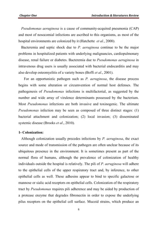 Pseudomonas aeruginosa is a cause of community-acquired pneumonia (CAP)
and most of nosocomial infections are ascribed to this organisms, as most of the
hospital environments are colonized by it (Hatchette et al., 2000).
Bacteremia and septic shock due to P. aeruginosa continue to be the major
problems in hospitalized patients with underlying malignancies, cardiopulmonary
disease, renal failure or diabetes. Bacteremia due to Pseudomonas aeruginosa in
intravenous drug users is usually associated with bacterial endocarditis and may
also develop osteomyelitis of a variety bones (Boffi et al., 2001).
For an opportunistic pathogen such as P. aeruginosa, the disease process
begins with some alteration or circumvention of normal host defenses. The
pathogenesis of Pseudomonas infections is multifactorial, as suggested by the
number and wide array of virulence determinants possessed by the bacterium.
Most Pseudomonas infections are both invasive and toxinogenic. The ultimate
Pseudomonas infection may be seen as composed of three distinct stages: (1)
bacterial attachment and colonization; (2) local invasion; (3) disseminated
systemic disease (Brooks et al., 2010).
1- Colonization:
Although colonization usually precedes infections by P. aeruginosa, the exact
source and mode of transmission of the pathogen are often unclear because of its
ubiquitous presence in the environment. It is sometimes present as part of the
normal flora of humans, although the prevalence of colonization of healthy
individuals outside the hospital is relatively. The pili of P. aeruginosa will adhere
to the epithelial cells of the upper respiratory tract and, by inference, to other
epithelial cells as well. These adhesins appear to bind to specific galactose or
mannose or sialic acid receptors on epithelial cells. Colonization of the respiratory
tract by Pseudomonas requires pili adherence and may be aided by production of
a protease enzyme that degrades fibronectin in order to expose the underlying
pilus receptors on the epithelial cell surface. Mucoid strains, which produce an
 