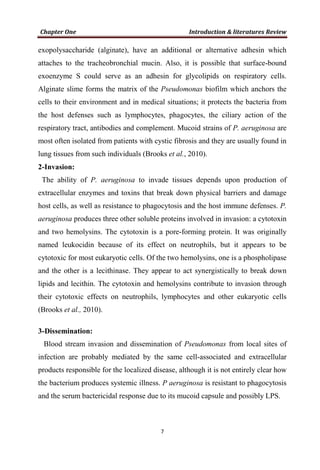 exopolysaccharide (alginate), have an additional or alternative adhesin which
attaches to the tracheobronchial mucin. Also, it is possible that surface-bound
exoenzyme S could serve as an adhesin for glycolipids on respiratory cells.
Alginate slime forms the matrix of the Pseudomonas biofilm which anchors the
cells to their environment and in medical situations; it protects the bacteria from
the host defenses such as lymphocytes, phagocytes, the ciliary action of the
respiratory tract, antibodies and complement. Mucoid strains of P. aeruginosa are
most often isolated from patients with cystic fibrosis and they are usually found in
lung tissues from such individuals (Brooks et al., 2010).
2-Invasion:
The ability of P. aeruginosa to invade tissues depends upon production of
extracellular enzymes and toxins that break down physical barriers and damage
host cells, as well as resistance to phagocytosis and the host immune defenses. P.
aeruginosa produces three other soluble proteins involved in invasion: a cytotoxin
and two hemolysins. The cytotoxin is a pore-forming protein. It was originally
named leukocidin because of its effect on neutrophils, but it appears to be
cytotoxic for most eukaryotic cells. Of the two hemolysins, one is a phospholipase
and the other is a lecithinase. They appear to act synergistically to break down
lipids and lecithin. The cytotoxin and hemolysins contribute to invasion through
their cytotoxic effects on neutrophils, lymphocytes and other eukaryotic cells
(Brooks et al., 2010).
3-Dissemination:
Blood stream invasion and dissemination of Pseudomonas from local sites of
infection are probably mediated by the same cell-associated and extracellular
products responsible for the localized disease, although it is not entirely clear how
the bacterium produces systemic illness. P aeruginosa is resistant to phagocytosis
and the serum bactericidal response due to its mucoid capsule and possibly LPS.
 
