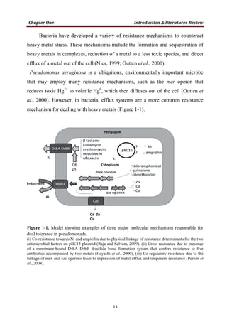 Bacteria have developed a variety of resistance mechanisms to counteract
heavy metal stress. These mechanisms include the formation and sequestration of
heavy metals in complexes, reduction of a metal to a less toxic species, and direct
efflux of a metal out of the cell (Nies, 1999; Outten et al., 2000).
Pseudomonas aeruginosa is a ubiquitous, environmentally important microbe
that may employ many resistance mechanisms, such as the mer operon that
reduces toxic Hg2+
to volatile Hg0
, which then diffuses out of the cell (Outten et
al., 2000). However, in bacteria, efflux systems are a more common resistance
mechanism for dealing with heavy metals (Figure 1-1).
Figure 1-1. Model showing examples of three major molecular mechanisms responsible for
dual tolerance in pseudomonads.
(i) Co-resistance towards Ni and ampicilin due to physical linkage of resistance determinants for the two
antimicrobial factors on pBC15 plasmid (Raja and Selvam, 2009). (ii) Cross resistance due to presence
of a membrane-bound DsbA–DsbB disulfide bond formation system that confers resistance to five
antibiotics accompanied by two metals (Hayashi et al., 2000), (iii) Co-regulatory resistance due to the
linkage of mex and czc operons leads to expression of metal efflux and imipenem resistance (Perron et
al., 2004).
 