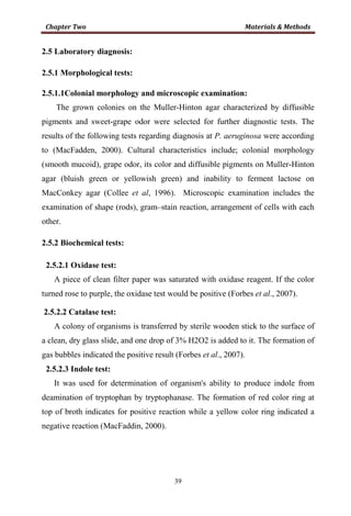 39
2.5 Laboratory diagnosis:
2.5.1 Morphological tests:
2.5.1.1Colonial morphology and microscopic examination:
The grown colonies on the Muller-Hinton agar characterized by diffusible
pigments and sweet-grape odor were selected for further diagnostic tests. The
results of the following tests regarding diagnosis at P. aeruginosa were according
to (MacFadden, 2000). Cultural characteristics include; colonial morphology
(smooth mucoid), grape odor, its color and diffusible pigments on Muller-Hinton
agar (bluish green or yellowish green) and inability to ferment lactose on
MacConkey agar (Collee et al, 1996). Microscopic examination includes the
examination of shape (rods), gram–stain reaction, arrangement of cells with each
other.
2.5.2 Biochemical tests:
2.5.2.1 Oxidase test:
A piece of clean filter paper was saturated with oxidase reagent. If the color
turned rose to purple, the oxidase test would be positive (Forbes et al., 2007).
2.5.2.2 Catalase test:
A colony of organisms is transferred by sterile wooden stick to the surface of
a clean, dry glass slide, and one drop of 3% H2O2 is added to it. The formation of
gas bubbles indicated the positive result (Forbes et al., 2007).
2.5.2.3 Indole test:
It was used for determination of organism's ability to produce indole from
deamination of tryptophan by tryptophanase. The formation of red color ring at
top of broth indicates for positive reaction while a yellow color ring indicated a
negative reaction (MacFaddin, 2000).
 
