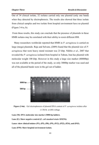 Out of 34 clinical isolate
when they detected by ele
from clinical samples and
(Figure 3-4-a, b).
From these results, this st
HMR isolates may be corr
Many researchers world
large (mega) plasmids. Ra
aeruginosa that were hea
revealed the P. aeruginosa
molecular weight 100 kbp
was not available at the p
all of the plasmid bands w
Figure (3-4a): Gel electrop
Lane (M): DNA molecular si
Lane (E): Show negative con
Lanes: show clinical isolates
Lane (P39): Show hospital en
e, 32 isolates carried only one plasmid
ectrophoresis. The results also showed
d two isolate from hospital environmen
tudy can conclude that the presence of
related with their ability to resist differ
dwide reported that HMR in P. aerugi
aja and Selvam, (2009) found that the
avy metal resistant was 23 kbp. Nikbin
a isolated from hospital in Tahran, Iran
p. However in this study a large size m
eriod of the study, so only 3000bp ma
were in the gel out of ladder.
phoresis of plasmid DNA content of P. aerug
(1:30) hr. at (60) voltage.
ize marker (3000-bp ladder).
ntrol (E. coli standard strain MM294).
(P1), (P5), (P8), (P9), (P12), (P22), (P24), a
nvironment isolate.
d (only one band)
d that three isolate
nt have no plasmid
f plasmids in these
rent HM.
inosa is carried on
plasmid size of P.
n et al., 2007 that
n has plasmid with
marker (40000bp)
arker was used and
ginosa isolates after
and (P43).
 
