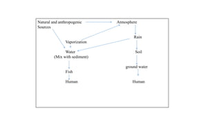 Natural and anthropogenic Atmosphere
Sources
Rain
Vaporization
Water Soil
(Mix with sediment)
ground water
Fish
Human Human
 