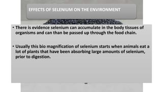 EFFECTS OF SELENIUM ON THE ENVIRONMENT
• There is evidence selenium can accumulate in the body tissues of
organisms and can than be passed up through the food chain.
• Usually this bio magnification of selenium starts when animals eat a
lot of plants that have been absorbing large amounts of selenium,
prior to digestion.
 