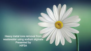 Heavy metal ions removal from
wastewater using sodium alginate
Presented by
HIFSA
 