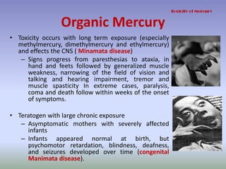 Organic Mercury
• Toxicity occurs with long term exposure (especially
methylmercury, dimethylmercury and ethylmercury)
and effects the CNS ( Minamata disease)
– Signs progress from paresthesias to ataxia, in
hand and feets followed by generalized muscle
weakness, narrowing of the field of vision and
talking and hearing impairment, tremor and
muscle spasticity In extreme cases, paralysis,
coma and death follow within weeks of the onset
of symptoms.
• Teratogen with large chronic exposure
– Asymptomatic mothers with severely affected
infants
– Infants appeared normal at birth, but
psychomotor retardation, blindness, deafness,
and seizures developed over time (congenital
Manimata disease).
Toxicity of Mercury
 