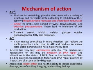 Mechanism of action• As+3 :
– Binds to SH- containing proteins thus reacts with a variety of
structural and enzymatic proteins leading to inhibition of their
activity (like glutathione reductase and thioredoxin reductase)
– Inhibit the Krebs cycle (inhibit pyruvate dehydrogenase) and
oxidative phosporylation. These lead to inhibition of ATP
production
– Trivalent arsenic inhibits cellular glucose uptake,
gluconeogenesis, fatty acid oxidation,
• As+5
– It can replace phosphate in many reactions can replace the
stable phosphate ester bond in ATP and produce an arsenic
ester stable bond which is not a high energy bond
• Arsenic has very high carcinogenic potential. The mechanisms
responsible for this may be inhibition of DNA repair and
alterations in the status of DNA. Due to inactivation of DNA-
binding proteins, transcription factors and DNA-repair proteins by
interaction of arsenic with –SH group.
• Arsenic has irritant effect and has the ability to induce endothelial
damage, loss of capillary integrity, and capillary leakage .
 