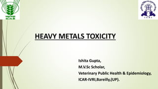 HEAVY METALS TOXICITY
Ishita Gupta,
M.V.Sc Scholar,
Veterinary Public Health & Epidemiology,
ICAR-IVRI,Bareilly,(UP).
 
