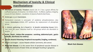 Mechanism of toxicity & Clinical
manifestations:
 Mechanism of toxicity: Trivalent arsenic (As 3+ ) has a great affinity for
sulfhydryl groups of enzymes & inhibits them. It effects capillary integrity,
causes GI tract dilation , exudation of plasma fluids & diarrhoea.
 Arsine gas causes haemolysis.
 Pentavalent arsenate is uncoupler of oxidative phosphorylation, also
causes Arsenolysis.Inhibits ATP synthesis by replacement of phosphate
group.
 In chronic poisoning, As is found in in keratin containing tissues [skin,
hair, nails] for years. Attaches itself to –SH groups which are abundant in
keratin.
 Acute : shock , cholera like symptoms : vomiting, abdominal pain , gastro
enteritis, diarrhoea( rice watery).
 Chronic Arsenic Poisoning: Peripheral neuropathy ( tingling, numbness).
 Known carcinogen : causes Hepato cellular carcinoma, skin cancer.
 Black foot disease: it is the severe form of peripheral vascular disease in
which blood vessels of lower limbs are damaged resulting in gangrene.
Black foot disease
 