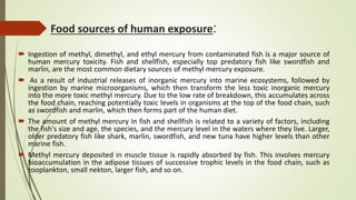 Food sources of human exposure:
 Ingestion of methyl, dimethyl, and ethyl mercury from contaminated fish is a major source of
human mercury toxicity. Fish and shellfish, especially top predatory fish like swordfish and
marlin, are the most common dietary sources of methyl mercury exposure.
 As a result of industrial releases of inorganic mercury into marine ecosystems, followed by
ingestion by marine microorganisms, which then transform the less toxic inorganic mercury
into the more toxic methyl mercury. Due to the low rate of breakdown, this accumulates across
the food chain, reaching potentially toxic levels in organisms at the top of the food chain, such
as swordfish and marlin, which then forms part of the human diet.
 The amount of methyl mercury in fish and shellfish is related to a variety of factors, including
the fish's size and age, the species, and the mercury level in the waters where they live. Larger,
older predatory fish like shark, marlin, swordfish, and new tuna have higher levels than other
marine fish.
 Methyl mercury deposited in muscle tissue is rapidly absorbed by fish. This involves mercury
bioaccumulation in the adipose tissues of successive trophic levels in the food chain, such as
zooplankton, small nekton, larger fish, and so on.
 