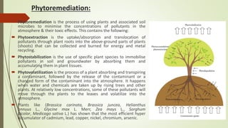 Phytoremediation:
 Phytoremediation is the process of using plants and associated soil
microbes to minimise the concentrations of pollutants in the
atmosphere & their toxic effects. This contains the following:
 Phytoextraction is the uptake/absorption and translocation of
pollutants through plant roots into the above-ground parts of plants
(shoots) that can be collected and burned for energy and metal
recycling.
 Phytostabilization is the use of specific plant species to immobilise
pollutants in soil and groundwater by absorbing them and
accumulating them in plant tissues.
 Phytovolatilization is the process of a plant absorbing and transpiring
a contaminant, followed by the release of the contaminant or a
changed form of the contaminant into the atmosphere. It happens
when water and chemicals are taken up by rising trees and other
plants. At relatively low concentrations, some of these pollutants will
move through the plants to the leaves and volatilize into the
atmosphere.
 Plants like (Brassica carinata, Brassica juncea, Helianthus
annuus L., Glycine max L. Merr, Zea mays L., Sorghum
bicolor, Medicago sativa L.) has shown that the most efficient hyper
accumulator of cadmium, lead, copper, nickel, chromium, arsenic.
 