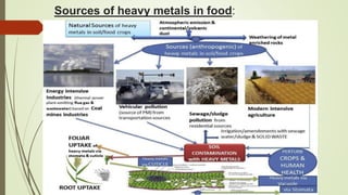 Sources of heavy metals in food:
 