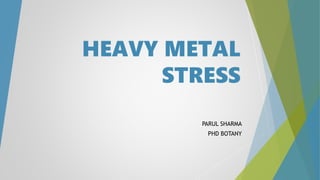 PARUL SHARMA
PHD BOTANY
HEAVY METAL
STRESS
 