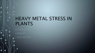 HEAVY METAL STRESS IN
PLANTS
BY SRIDHARSHINI.S
22MBO025
|-M.SC.,BOTANY
 