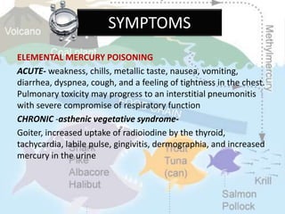 ELEMENTAL MERCURY POISONING
ACUTE- weakness, chills, metallic taste, nausea, vomiting,
diarrhea, dyspnea, cough, and a feeling of tightness in the chest.
Pulmonary toxicity may progress to an interstitial pneumonitis
with severe compromise of respiratory function
CHRONIC -asthenic vegetative syndrome-
Goiter, increased uptake of radioiodine by the thyroid,
tachycardia, labile pulse, gingivitis, dermographia, and increased
mercury in the urine
SYMPTOMS
 