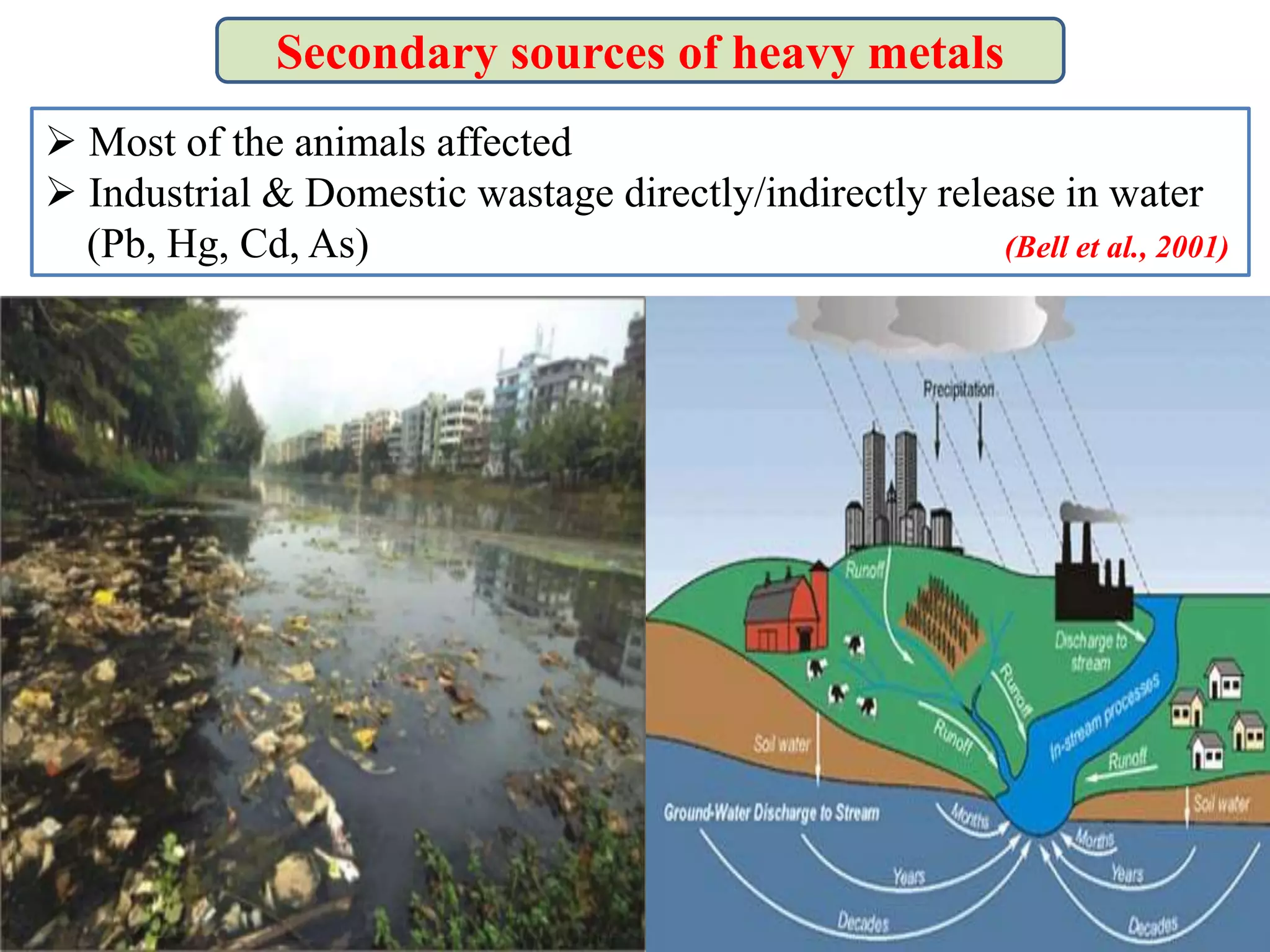 Secondary sources of heavy metals
 Most of the animals affected
 Industrial & Domestic wastage directly/indirectly release in water
(Pb, Hg, Cd, As) (Bell et al., 2001)
 