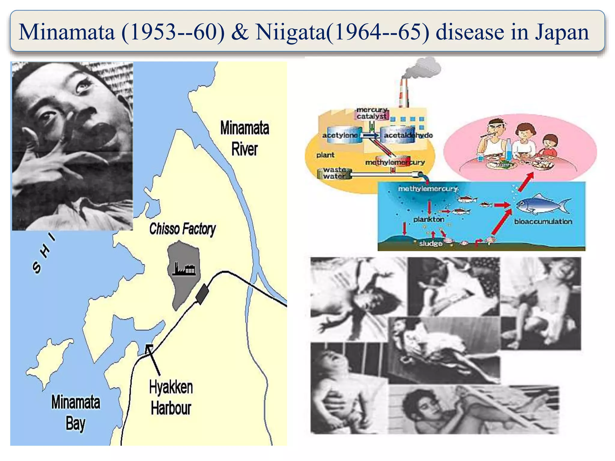 Minamata (1953--60) & Niigata(1964--65) disease in Japan
 