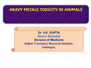 HEAVY METALS TOXICITY IN ANIMALS
Dr. V.K. GUPTA
Senior Scientist
Division of Medicine
Indian Veterinary Research Institute,
Izatnagar,
 