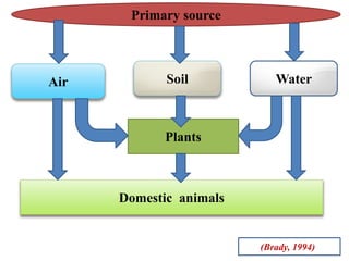 Soil WaterAir
Primary source
Plants
Domestic animals
(Brady, 1994))
 