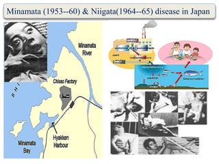Minamata (1953--60) & Niigata(1964--65) disease in Japan
 