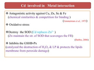  Antagonistic activity against Cu, Zn, Se & Fe
(chemical similarities & competition for binding )
(Ammerman et al., 1973)
 Oxidative stress
Destroy the SOD (Cd replaces Zn2+ )
(Zn maintain the str. of SOD that scavenges the FR)
(Darbre, 2006)
 Inhibits the GSHB-Px
(catalyzed the destruction of H2O2 & LP & protects the lipids
membrane from peroxide damage)
Cd involved in Metal interaction
 