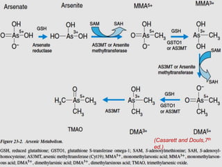 (Casarett and Douls,7th
ed.)
 