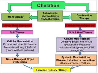 Chelation
Monotherapy
Combination
Therapy
Antioxidents
Micronutrients
Phytochemicals
Acute Metal Exposure
Soft Tissues
Cellular Manifestation
Pro – vs antioxident imbalance
Metabolic pathway interfered
(haem synthetic pathway)
Tissue Damage & Organ
dysfunction
Cellular Manifestation
Oxidative Stress, Pro- or Anti-
apoptotic manifestations
(Mitochondrial dysfunction, DNA
damage, etc)
Systemic Manifestations
Disease induction or promotions
(Diabetes,Cancer, DVD, etc)
Soft & Hard Tissues
Chronic Metal Exposure
Excretion (Urinary / Biliary)
 
