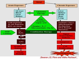 (Swaran J.S. Flora and Vidhu Pachauri ,
 