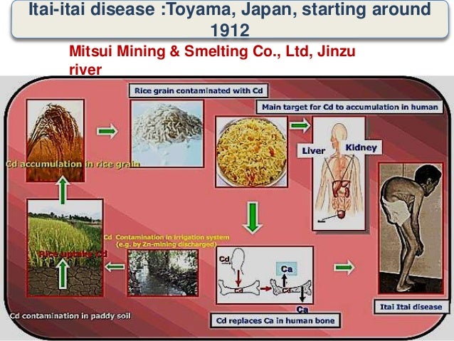 Minamata Niigata 1964 1965 Minamata Niigata 1964 1965