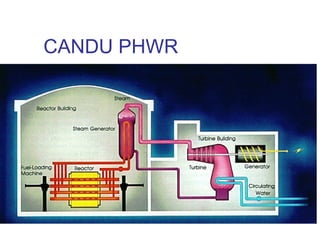 CANDU PHWR

 