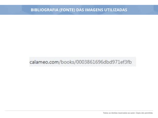 Todos os direitos reservados ao autor. Cópia não permitida.
BIBLIOGRAFIA (FONTE) DAS IMAGENS UTILIZADAS
 