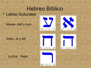 • Letras Guturales
Hebreo Bíblico
Mudas: Alef y Ayin
Jotas: Je y Jet
La Ere : Resh
 