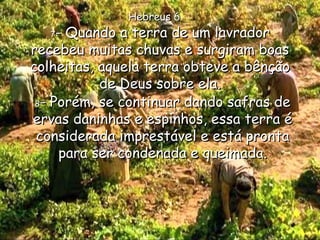 7 - Quando a terra de um lavrador recebeu muitas chuvas e surgiram boas colheitas, aquela terra obteve a bênção de Deus sobre ela. 8 - Porém, se continuar dando safras de ervas daninhas e espinhos, essa terra é considerada imprestável e está pronta para ser condenada e queimada. Hebreus 6 