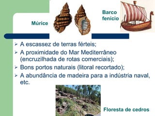A escassez de terras férteis; A proximidade do Mar Mediterrâneo (encruzilhada de rotas comerciais);  Bons portos naturais (litoral recortado); A abundância de madeira para a indústria naval, etc. Múrice Floresta de cedros Barco fenício 