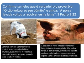 Confirma-se neles que é verdadeiro o provérbio:
"O cão voltou ao seu vômito" e ainda: "A porca
lavada voltou a revolver-se na lama". 2 Pedro 2:22
Voltar ao vômito: Voltar sempre a
praticar seus horrendos hábitos
imundos, suas atitudes medíocres e
suas práticas sujas, os quais, para ele,
são o seu bom vômito.
A pessoa das vezes é recebido cheio de
lama, totalmente apedrejado, difamado e
ferido. É bem tratado, alimentado, nutrido,
acolhido, valorizado e quando menos se
espera, volta a praticar as obras anteriores.
 