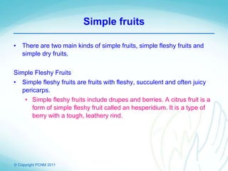 © Copyright PCNM 2011
Simple fruits
• There are two main kinds of simple fruits, simple fleshy fruits and
simple dry fruits.
Simple Fleshy Fruits
• Simple fleshy fruits are fruits with fleshy, succulent and often juicy
pericarps.
• Simple fleshy fruits include drupes and berries. A citrus fruit is a
form of simple fleshy fruit called an hesperidium. It is a type of
berry with a tough, leathery rind.
 