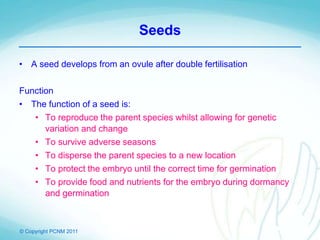 © Copyright PCNM 2011
Seeds
• A seed develops from an ovule after double fertilisation
Function
• The function of a seed is:
• To reproduce the parent species whilst allowing for genetic
variation and change
• To survive adverse seasons
• To disperse the parent species to a new location
• To protect the embryo until the correct time for germination
• To provide food and nutrients for the embryo during dormancy
and germination
 
