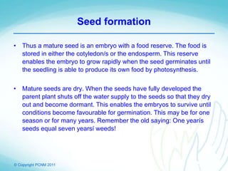 © Copyright PCNM 2011
Seed formation
• Thus a mature seed is an embryo with a food reserve. The food is
stored in either the cotyledon/s or the endosperm. This reserve
enables the embryo to grow rapidly when the seed germinates until
the seedling is able to produce its own food by photosynthesis.
• Mature seeds are dry. When the seeds have fully developed the
parent plant shuts off the water supply to the seeds so that they dry
out and become dormant. This enables the embryos to survive until
conditions become favourable for germination. This may be for one
season or for many years. Remember the old saying: One yearís
seeds equal seven yearsí weeds!
 