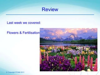© Copyright PCNM 2011
Review
Last week we covered:
Flowers & Fertilisation
 