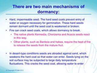 © Copyright PCNM 2011
There are two main mechanisms of
dormancy:
• Hard, impermeable seed. The hard seed coats prevent entry of
water or oxygen necessary for germination. These hard seeds
remain dormant until the seed coat is weakened or broken.
• Fire can crack seed coats, which allows dormancy to break.
• The native plants Kennedia, Chorizema and Acacia seeds react
in this way.
• Other plants, such as Banksia and hakea, require the heat of fire
to release the seeds from the mature fruit.
• In desert-type conditions seeds are abraded against sand, which
weakens the hard coat so that water can enter. Seeds lying on the
soil surface may be subjected to large daily temperature
fluctuations. This cracks the seed coat, allowing water to enter
 
