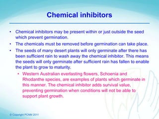 © Copyright PCNM 2011
Chemical inhibitors
• Chemical inhibitors may be present within or just outside the seed
which prevent germination.
• The chemicals must be removed before germination can take place.
• The seeds of many desert plants will only germinate after there has
been sufficient rain to wash away the chemical inhibitor. This means
the seeds will only germinate after sufficient rain has fallen to enable
the plant to grow to maturity.
• Western Australian everlasting flowers, Schoenia and
Rhodanthe species, are examples of plants which germinate in
this manner. The chemical inhibitor adds survival value,
preventing germination when conditions will not be able to
support plant growth.
 