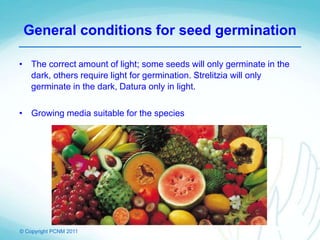 © Copyright PCNM 2011
General conditions for seed germination
• The correct amount of light; some seeds will only germinate in the
dark, others require light for germination. Strelitzia will only
germinate in the dark, Datura only in light.
• Growing media suitable for the species
 