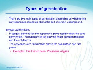 © Copyright PCNM 2011
Types of germination
• There are two main types of germination depending on whether the
cotyledons are carried up above the soil or remain underground.
Epigeal Germination.
• In epigeal germination the hypocotyle grows rapidly when the seed
germinates. The hypocotyl is the growing shoot between the seed
and the cotyledons.
• The cotyledons are thus carried above the soil surface and turn
green.
• Examples: The French bean, Phaseolus vulgaris
 