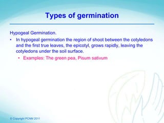 © Copyright PCNM 2011
Types of germination
Hypogeal Germination.
• In hypogeal germination the region of shoot between the cotyledons
and the first true leaves, the epicotyl, grows rapidly, leaving the
cotyledons under the soil surface.
• Examples: The green pea, Pisum sativum
 