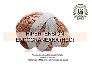 Andrea Carolina Carrascal Herazo
Medicina Interna
Programa de Medicina- Universidad de Sucre
HIPERTENSIÓN
ENDOCRANEANA (HEC)
 