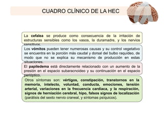 CUADRO CLÍNICO DE LA HEC
Otros síntomas son: vértigos, constipación, transtornos en la
memoria, intelecto, voluntad, conducta, emociones, tensión
arterial, variaciones en la frecuencia cardiaca, y la respiración,
signos de herniación cerebral, hipo, falsos signos de localización
(parálisis del sexto nervio craneal, y síntomas psíquicos).
La cefalea se produce como consecuencia de la irritación de
estructuras sensibles como los vasos, la duramadre, y los nervios
sensitivos.
Los vómitos pueden tener numerosas causas y su control vegetativo
se encuentra en la porción más caudal y dorsal del bulbo raquídeo, de
modo que no se explica su mecanismo de producción en estas
situaciones.
El papiledema está directamente relacionado con un aumento de la
presión en el espacio subaracnoideo y su continuación en el espacio
perióptico.
 
