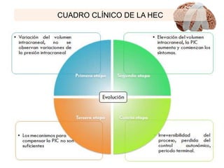 Evolución
CUADRO CLÍNICO DE LA HEC
 