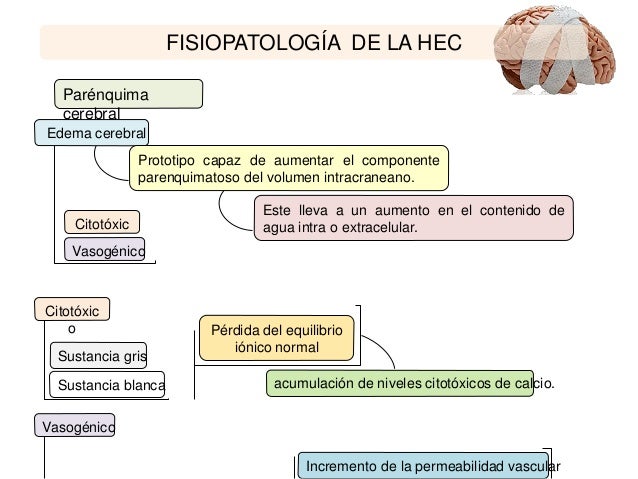 La mayor parte de la población con hipertensión intraocular