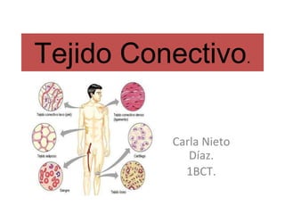 Tejido Conectivo.
Carla Nieto
Díaz.
1BCT.
 